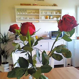 https://corte-san-lazzaro.it-tuscanyhotel.com