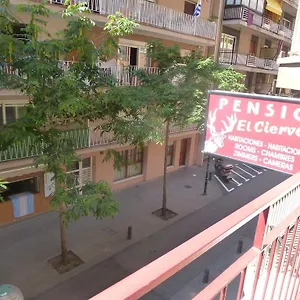 Affittacamere El Ciervo Spagna